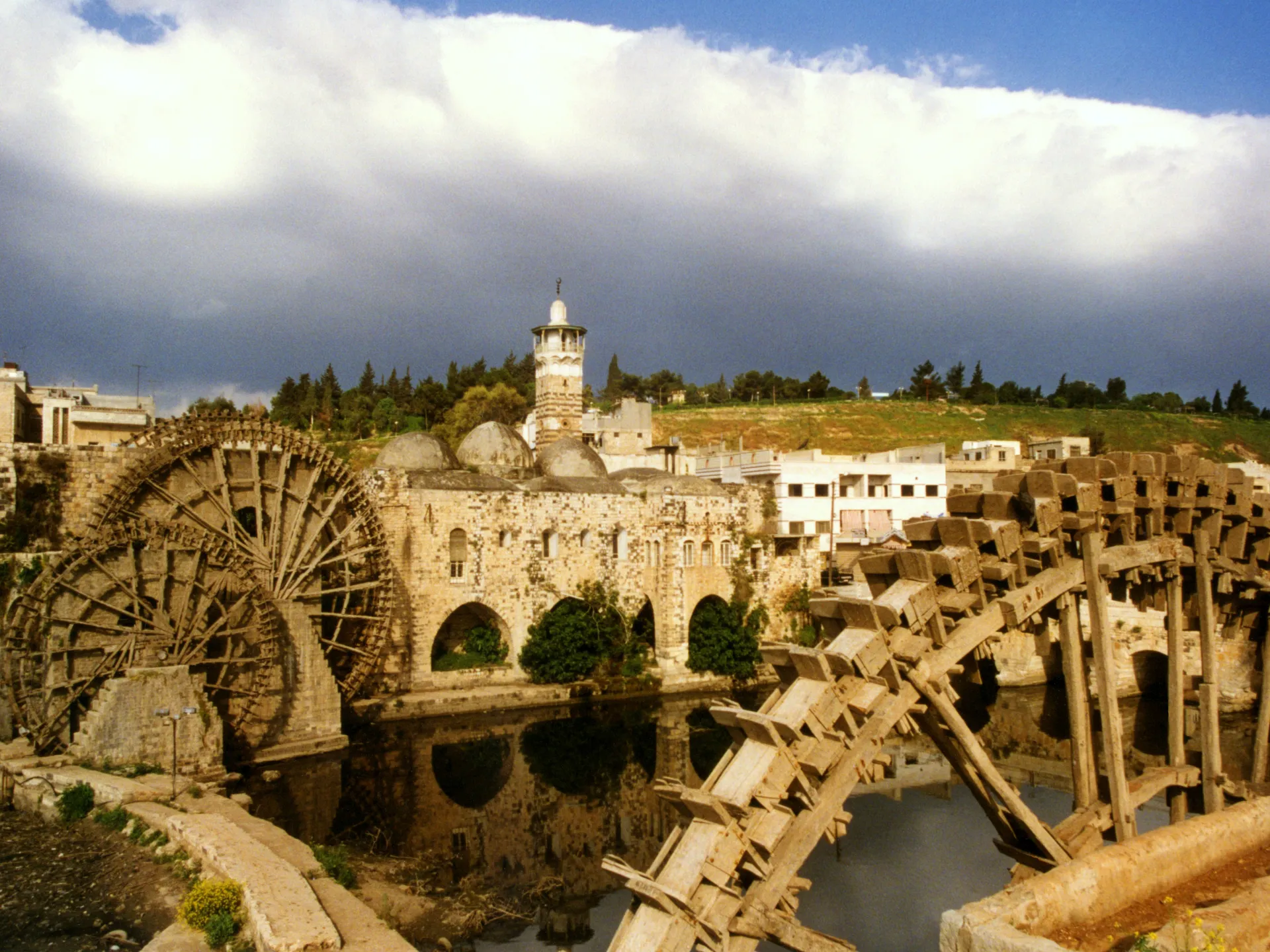 Hama