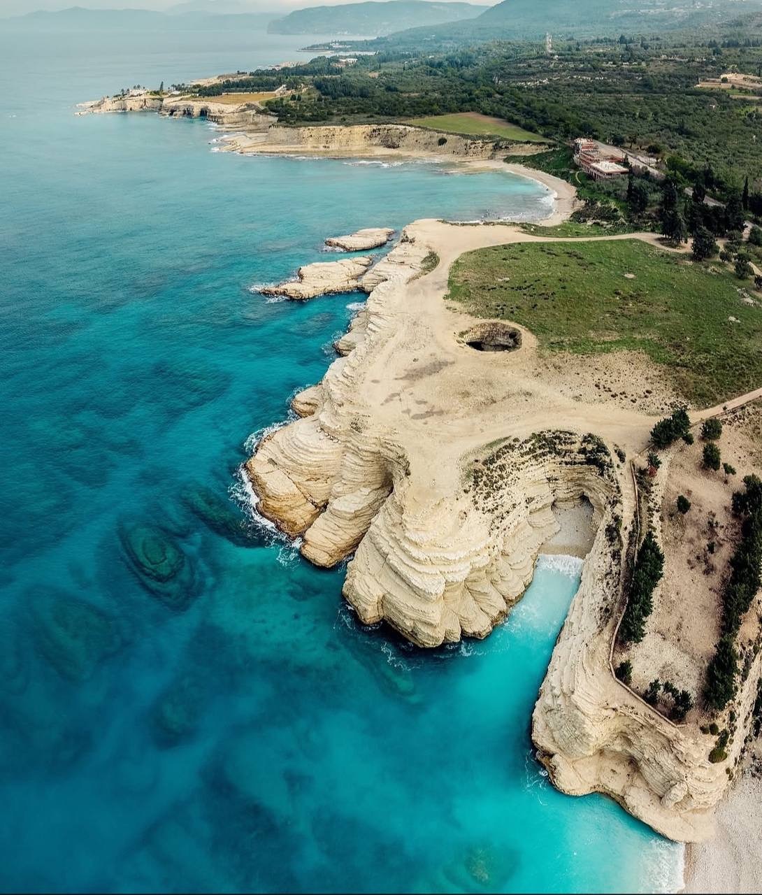 Lattakia